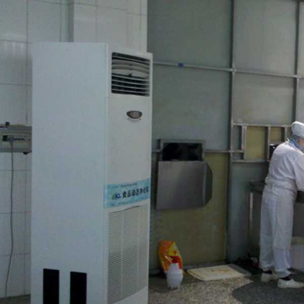 广西食品正负离子空气杀菌器